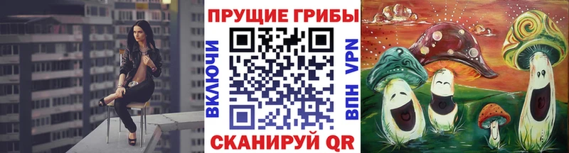 мориарти формула  Петров Вал  Галлюциногенные грибы Psilocybine cubensis 